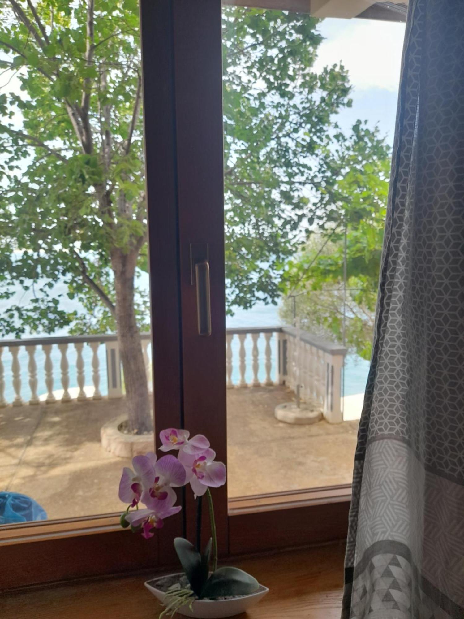 Apartment Antea