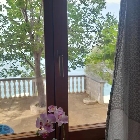 Apartmani Antea Starigrad Paklenica Room photo
